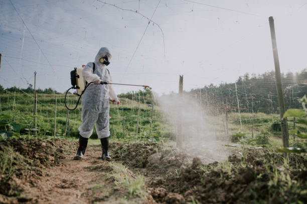 Pest Prevention Services in Eatonton, GA