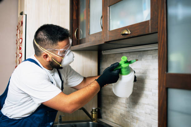 Best Cockroach Control Services  in Eatonton, GA