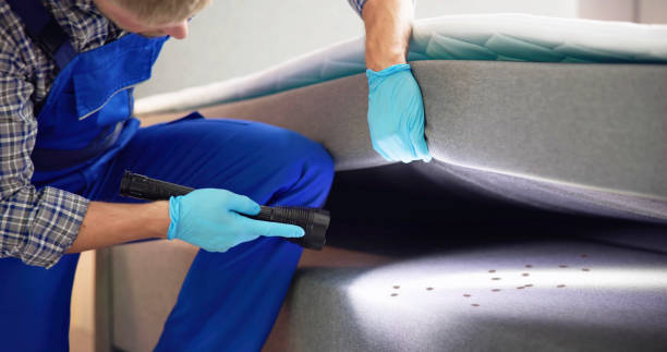 Best Termite Control Services  in Eatonton, GA