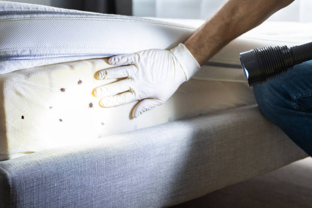 Best Pest Inspection Near Me  in Eatonton, GA
