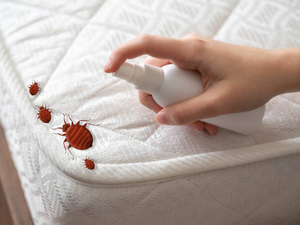 Best Pest Removal Services  in Eatonton, GA