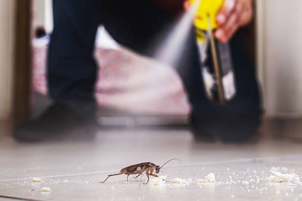 Best Insect Control  in Eatonton, GA