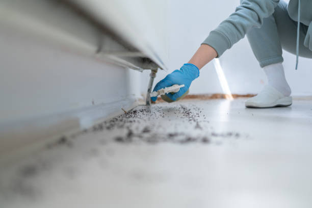 Best Wasp Removal Services  in Eatonton, GA